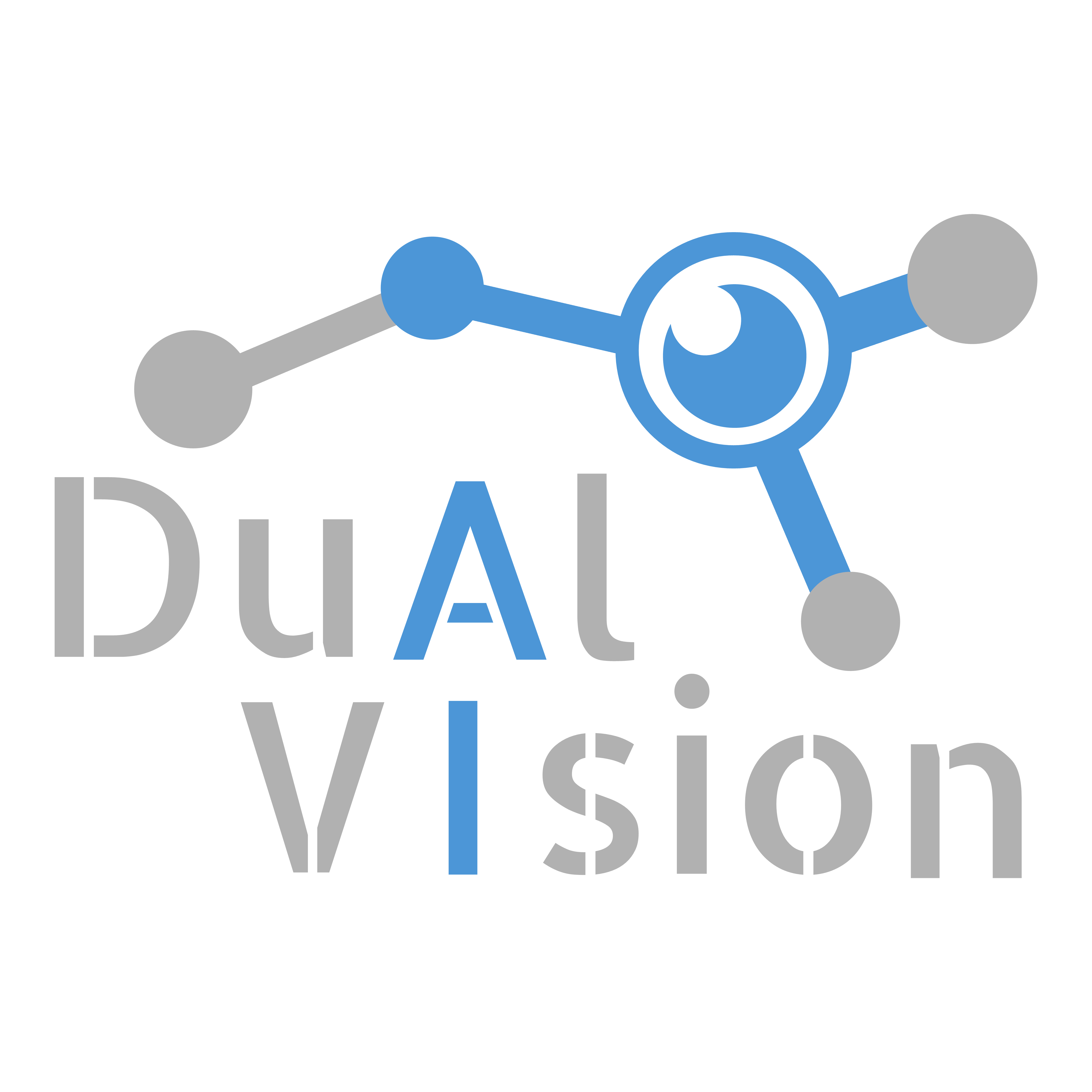 Dual Vision